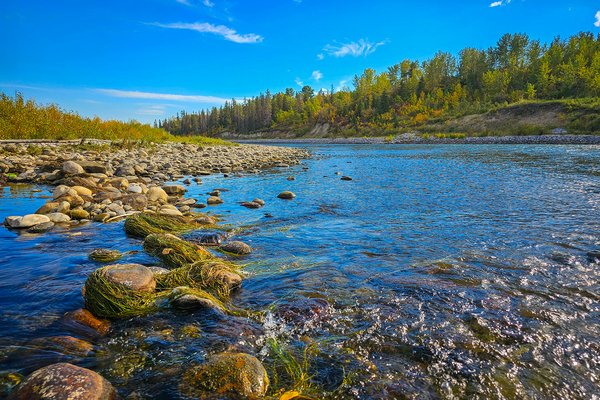 Shallow spot, Bow River Float, Calgary, AB, 2024-09-25