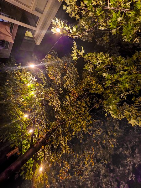 Illuminating experience, Sugar Jen's Backyard, Strathmore, AB, 2024-09-27