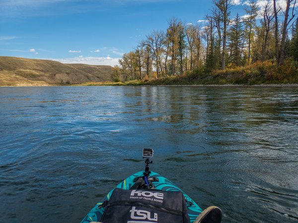 The wind says hello, Bow River Float, Alberta, 2024-09-29
