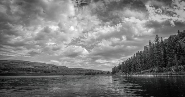 Current mood, Bow River Float, Alberta, 2024-09-29