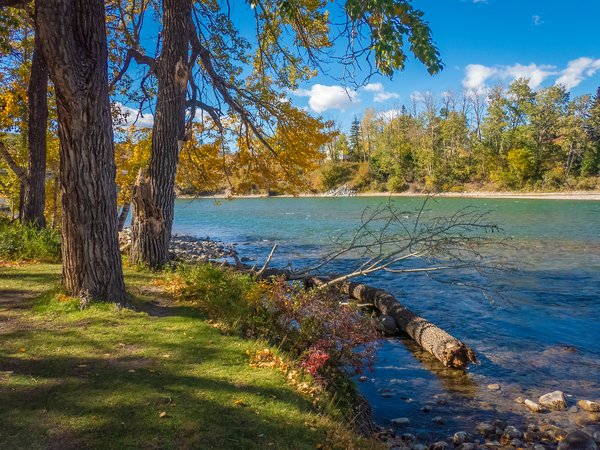 River view 01, Shouldice Park, Calgary, AB, 2024-09-30