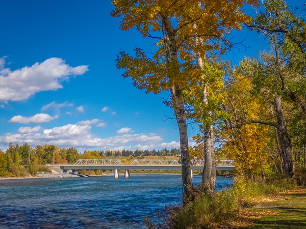 River view 03, Shouldice Park, Calgary, AB, 2024-09-30