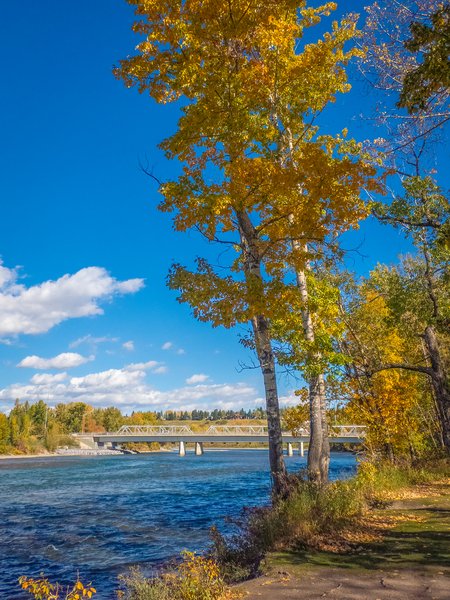 River view 04, Shouldice Park, Calgary, AB, 2024-09-30