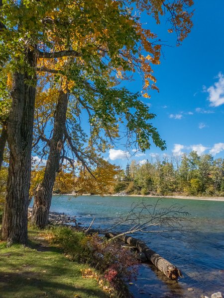 River view 02, Shouldice Park, Calgary, AB, 2024-09-30