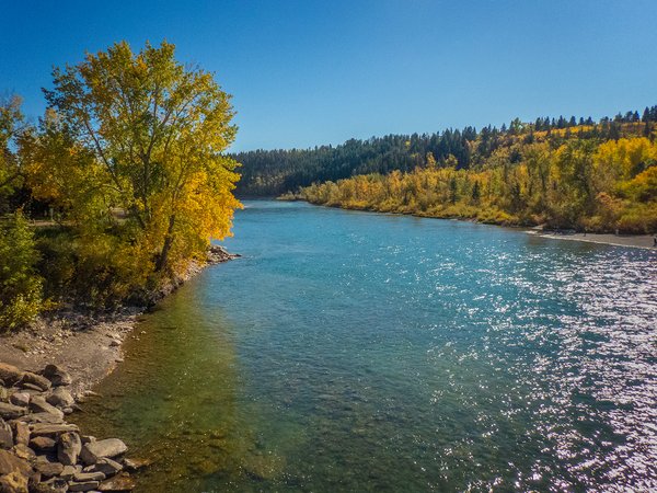 Fall colours, Bow River by the Harry Booth Bridge, Calgary, AB, 2024-09-30