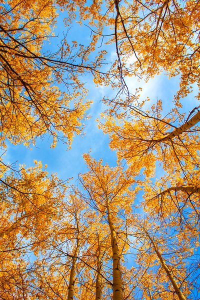 People look up to me, Gray Park, Strathmore, AB, 2024-10-09