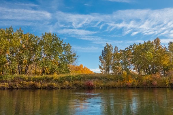 Shoreline, Ogden to Fish Creek Park, Bow River Float, 2024-10-14