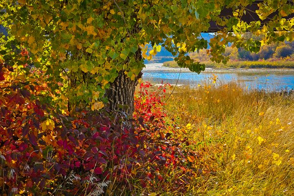 Dem Colours 01, Red Deer River, Wheatland County, AB, 2024-10-12