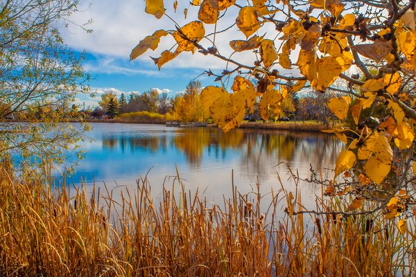 Frame job, Kinsmen Park, Strathmore, AB, 2024-10-17