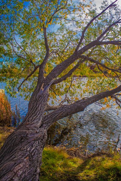 Doin' the twist, Kinsmen Park, Strathmore, AB, 2024-10-17