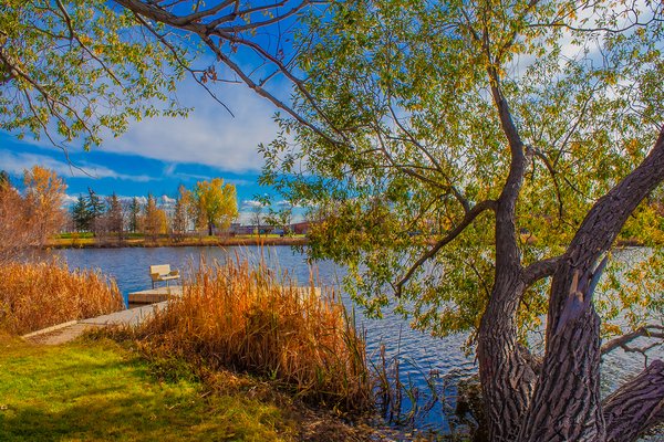 Docking your pay, Kinsmen Park, Strathmore, AB, 2024-10-17