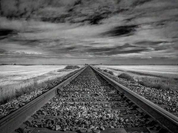 Railroad job, Wheatland County, AB, 2024-10-19
