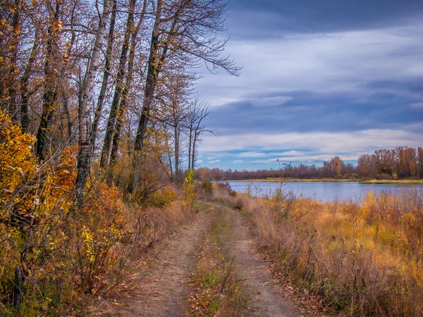 Along the river, Wheatland County, AB, 2024-10-19