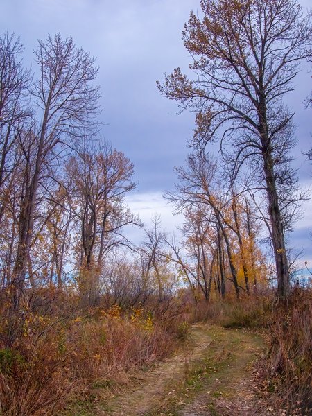 The road gloam, Wheatland County, AB, 2024-10-19
