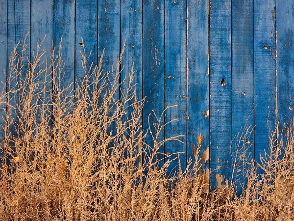 Got the blues, Triptych 03, My Back Alley, Strathmore, AB, 2024-10-22