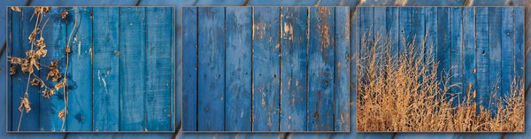 Got the blues, Triptych, My Back Alley, Strathmore, AB, 2024-10-22