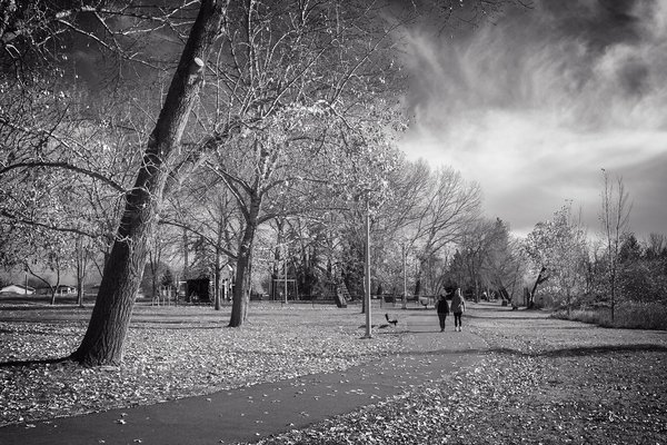 The walkers, Kinsmen Park, Strathmore, AB, 2024-11-02