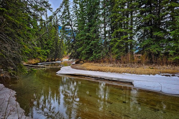 Crick of a creek, Banff, AB, 2025-04-12