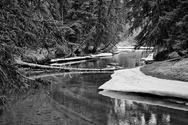 Ice ice baby, Banff, AB, 2025-04-12