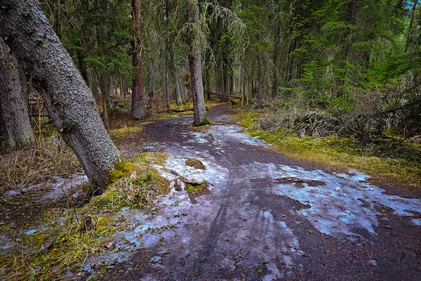 And that's why I wore my hiking boots, Banff, AB, 2025-04-12
