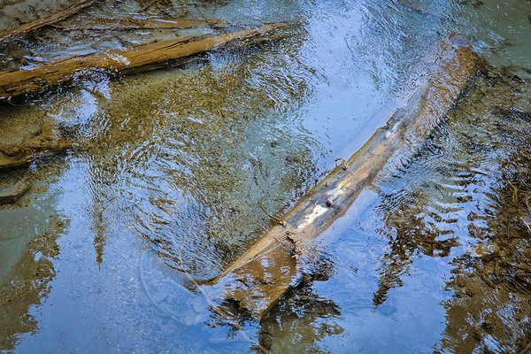 Soothing sounds of water, Banff, AB, 2025-04-12