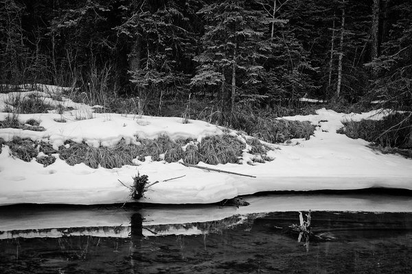 Leftover ice, Banff, AB, 2025-04-12