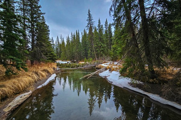 Blah reflection from a blah sky, Banff, AB, 2025-04-12