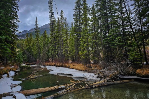Remnants of winter, Banff, AB, 2025-04-12