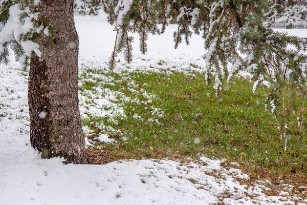 I'm getting mixed signals here, Kinsmen Lake, Strathmore, Alberta, 2025-04-20