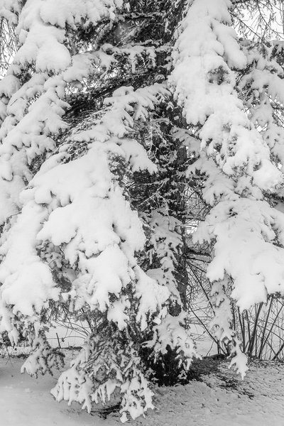Pulling the winter coat back out of the closet, Kinsmen Park, Strathmore, Alberta, 2025-04-20