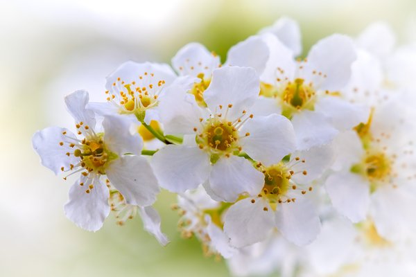 Brightening up your day, My Backyard, Strathmore, AB, 2025-05-015