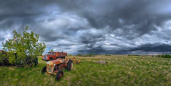 Sidelined, Sunnyridge Farm, AB, 2025-05-17