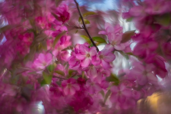 Sink the Pink, 2nd Avenue, Strathmore, AB, 2025-05-22