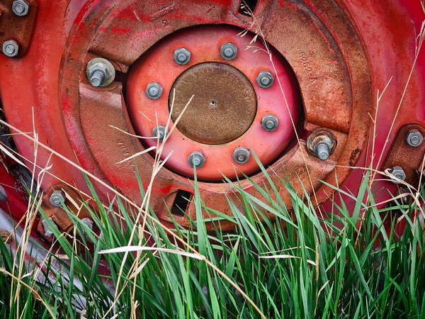 Spring wheelies, 65 Massey, Sunnyridge Farm, 2025-05-18