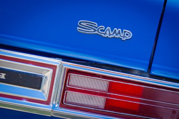 You're such a scamp,, Elnora, AB, 2025-05-24