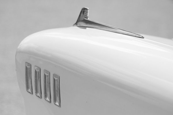 Gotta be fin it to win it, Car Show, Elnora, AB, 2025-05-24