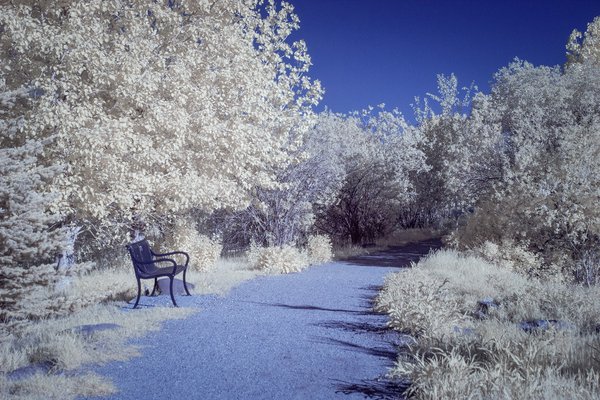 Footpath, Gray Park, Strathmore, AB, 2025-05-30