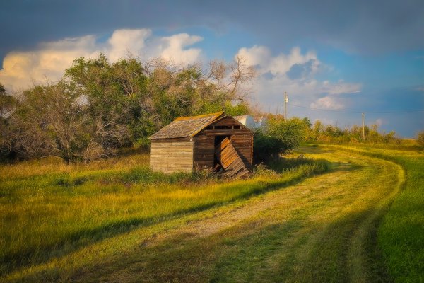 Finished mowing for the day, Sunnyridge Farm, Kirriemuir, Alberta, 2025-08-31