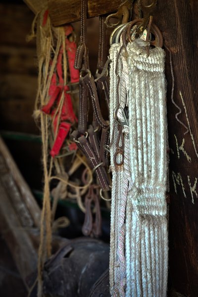 Retired, Sunnyridge Farm, Special Areas No. 4, Alberta, 2025-09-14