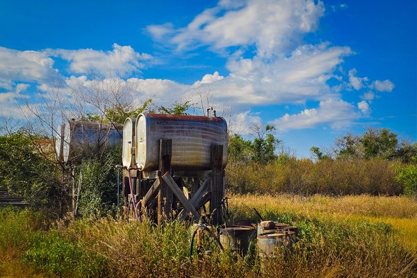 Having a gas, Sunnyridge Farm, Special Areas No. 4, Alberta, 2025-09-14