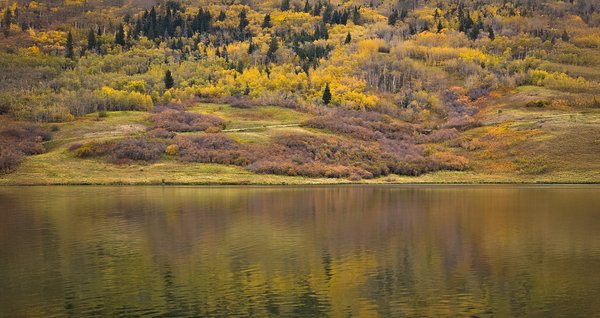 Personal Reflections, Reesor Lake, Cypress Hills Provincial Park, AB, 2025-10-04