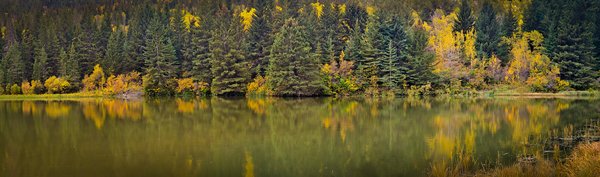 Reflected Fall Panorama, Reesor Lake, Cypress Hills Provincial Park, AB, 2025-10-04