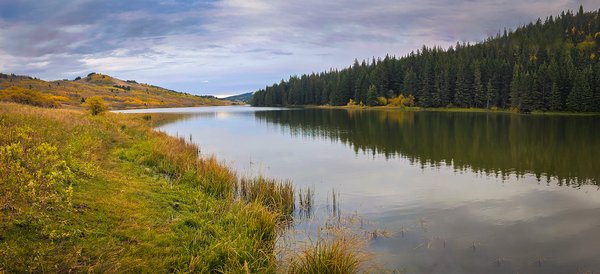Looking Towards the Berm, Reesor Lake, Cypress Hills Provincial Park, AB, 2025-10-04