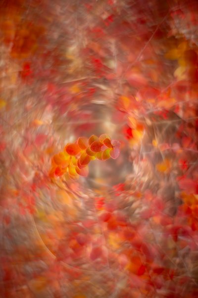 Reacharound, Thomas Drive Pathway, Strathmore, AB, 2025-11-05
