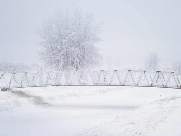 Fog advisory, Tom Sadler Bridge, Strathmore, AB, 2026-01-04