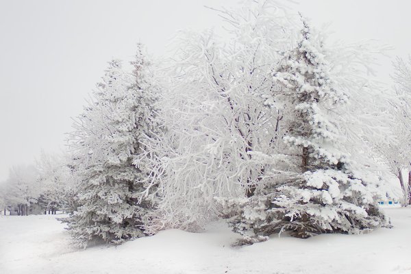 It's a winter blunder land, Thomas Drive, Strathmore, AB, 2026-01-04