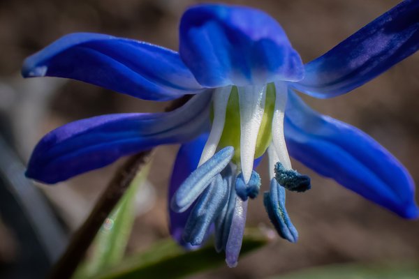 Blue something something, Casa McCormick, My Front Yard, Strathmore, AB, 2026-04-19