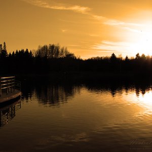 Landscapes