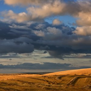 The Prairiez