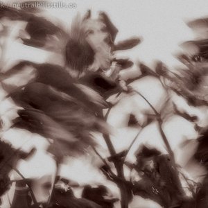 Breaking Wind